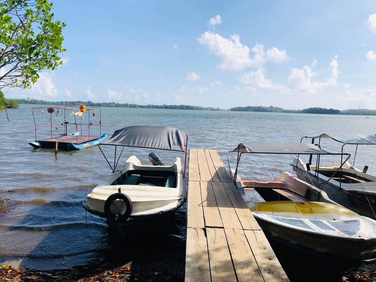 Boat Safari