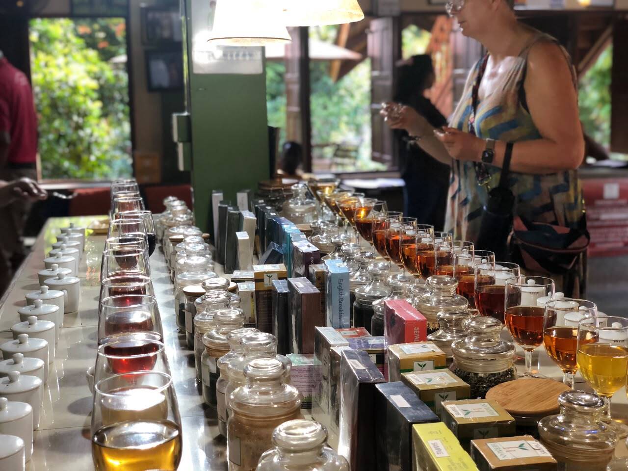 Ceylon Tea Experience